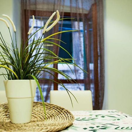 Apartman Flower シベニク エクステリア 写真