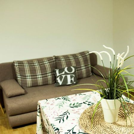 Apartman Flower シベニク エクステリア 写真
