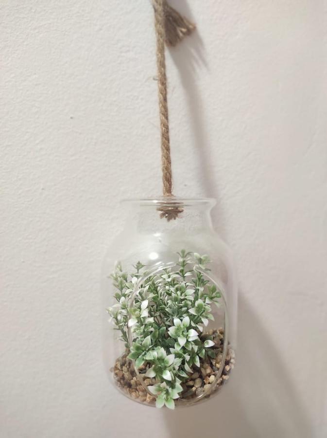 Apartman Flower シベニク エクステリア 写真