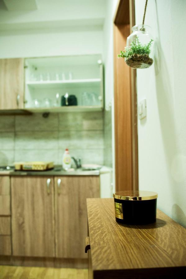 Apartman Flower シベニク エクステリア 写真