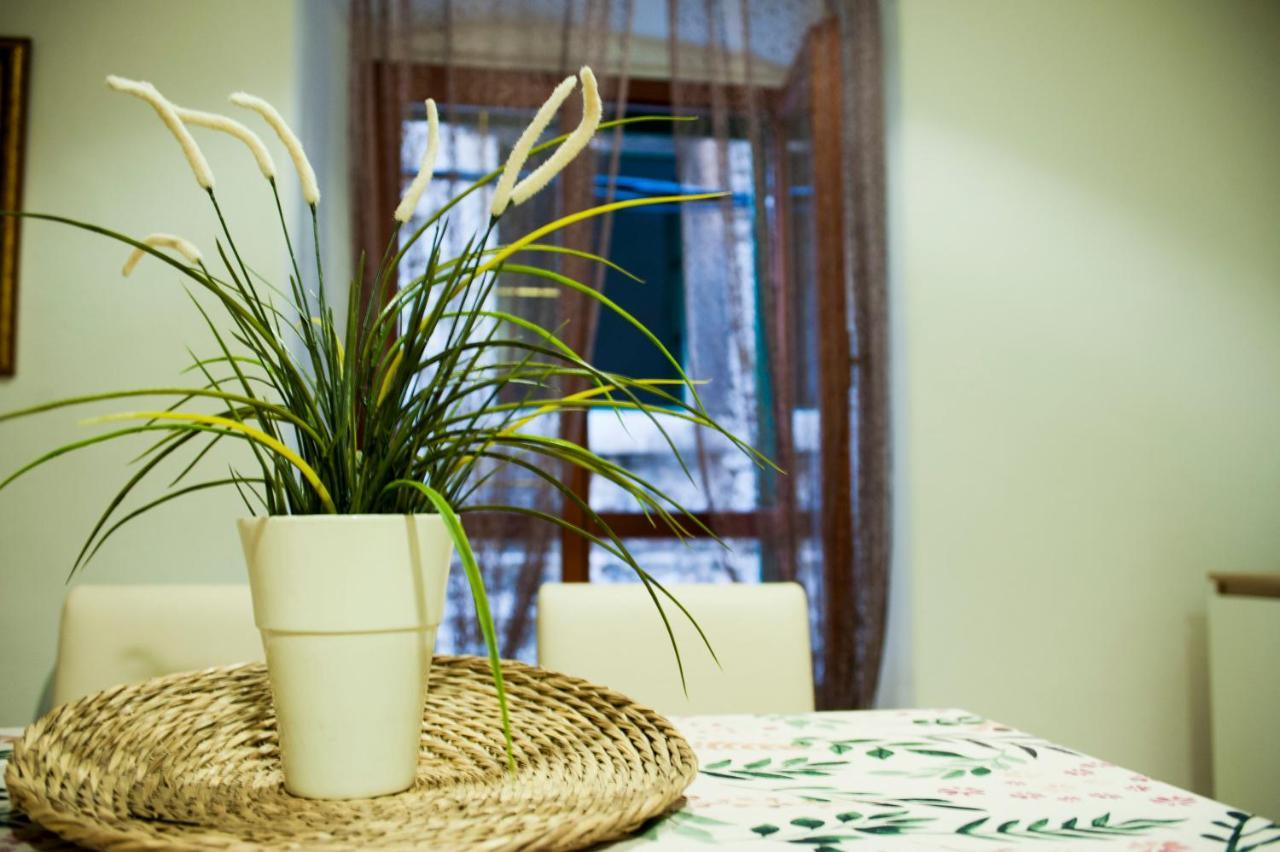 Apartman Flower シベニク エクステリア 写真