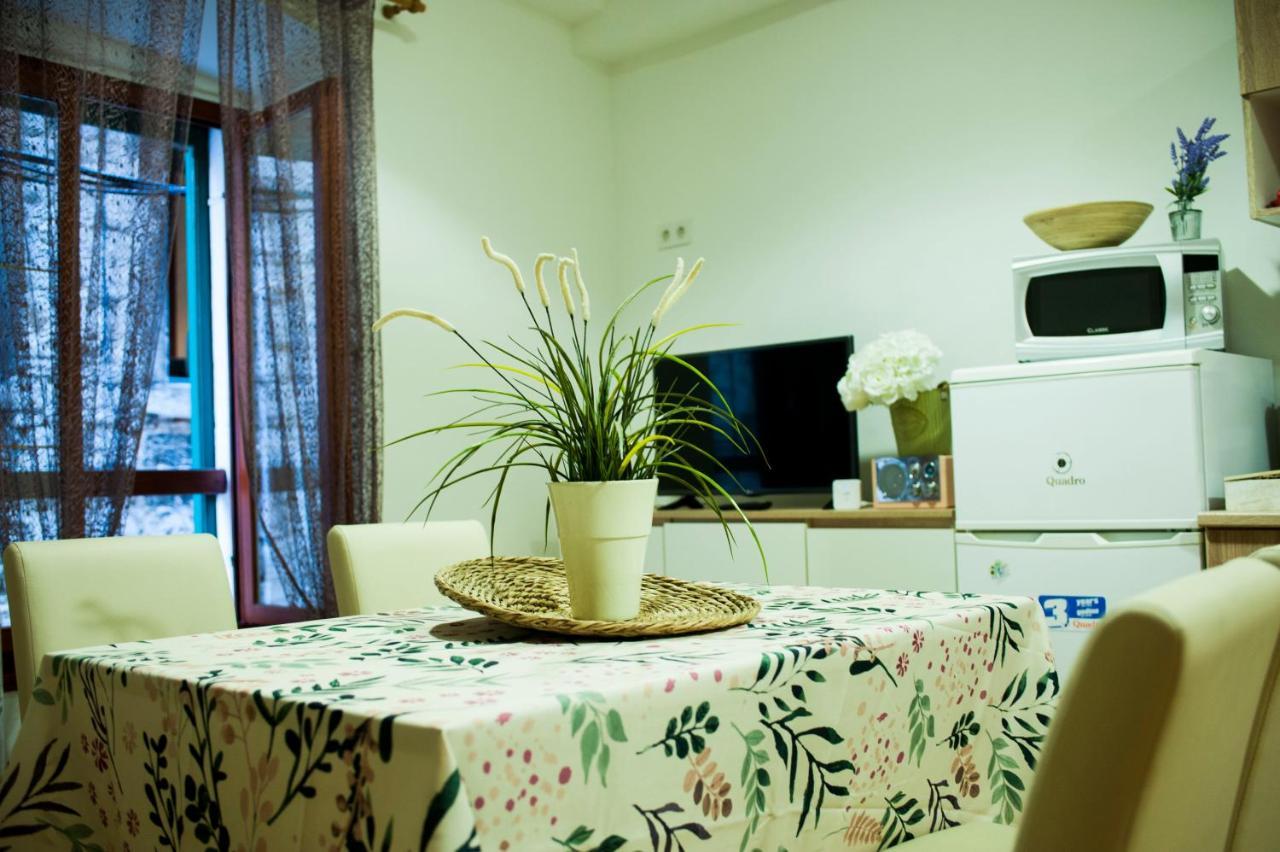 Apartman Flower シベニク エクステリア 写真