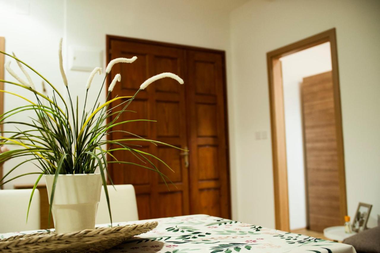Apartman Flower シベニク エクステリア 写真