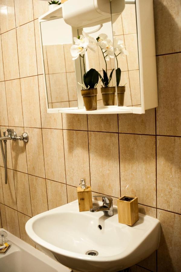 Apartman Flower シベニク エクステリア 写真
